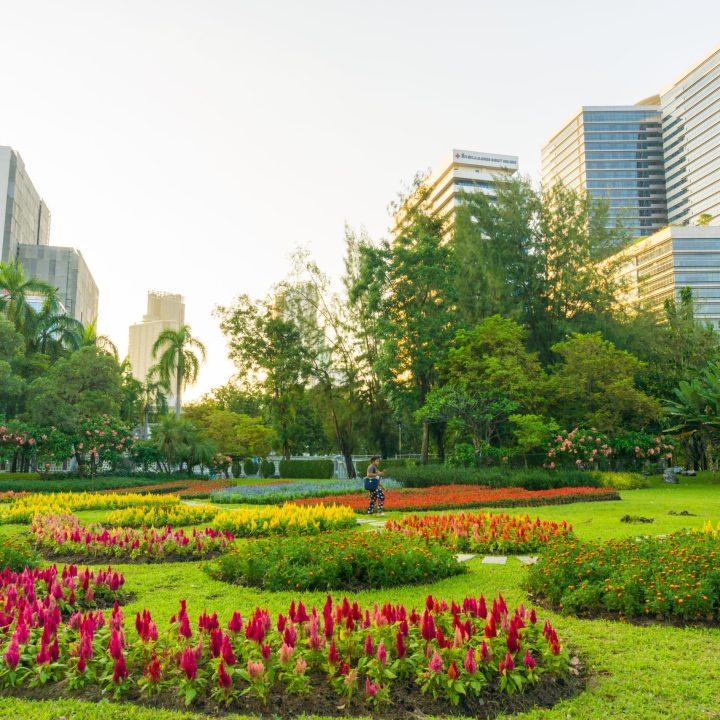 City public park with modern building Lumpini park, Bangkok Thailand